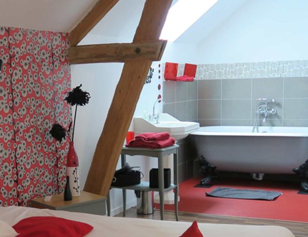 chambre-bakelit-espace-bain